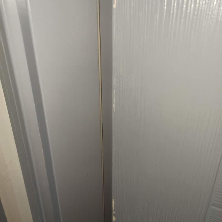 Marshall Boya Kapı Boyası Kalkması