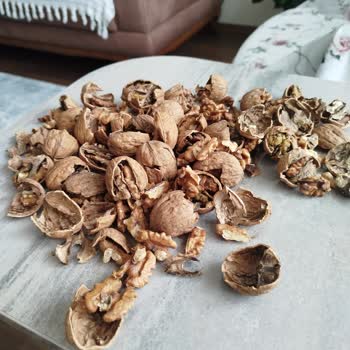 Migros'tan Aldığım Kabuklu Ceviz Bozuk Çıktı