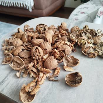 Migros'tan Aldığım Kabuklu Ceviz Bozuk Çıktı