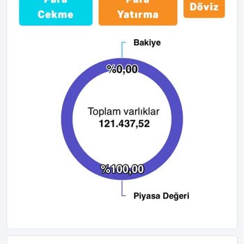 Morgan Stanley The Rohatyn Group Cays Uluslar Arası Yazılım Sıkıntısı
