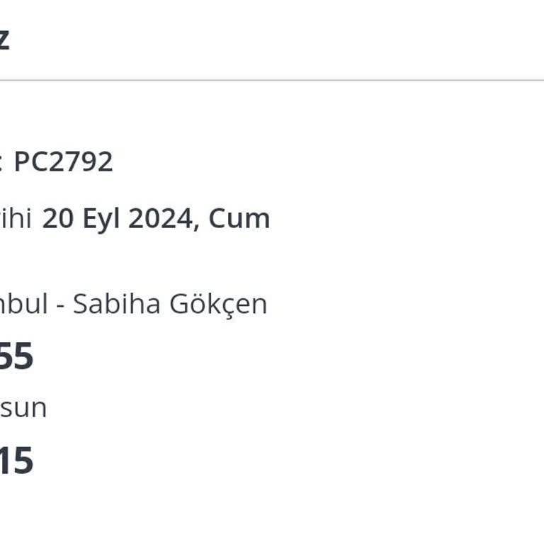 Pegasus Uçak Moduna Alınmadan Yolcunun Uçuş Esnasında Telefonda Konuşması