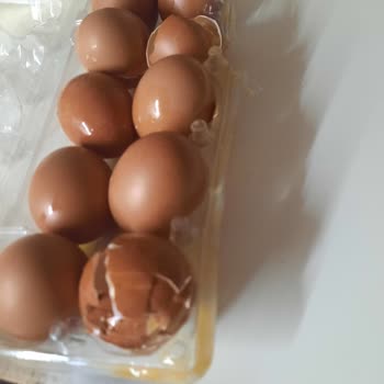 Getir Siparişimde Kırılan Yumurtalar Ve İlgisiz Müşteri Hizmetleri