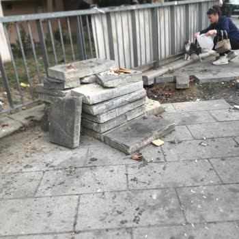 Bedaş Kaldırımı Bir An Önce Tamir Et.