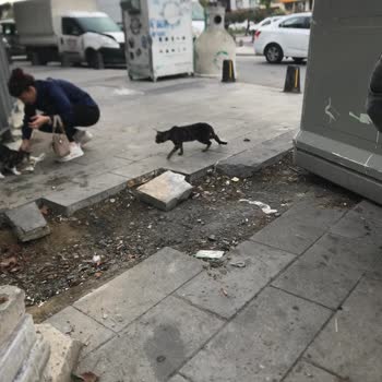 Bedaş Kaldırımı Bir An Önce Tamir Et.