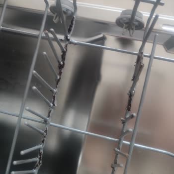 Arçelik Bulaşık Makinesi Pas Sorunu ve Sağlık Endişesi