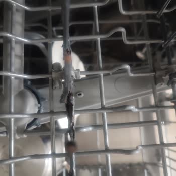 Arçelik Bulaşık Makinesi Pas Sorunu ve Sağlık Endişesi