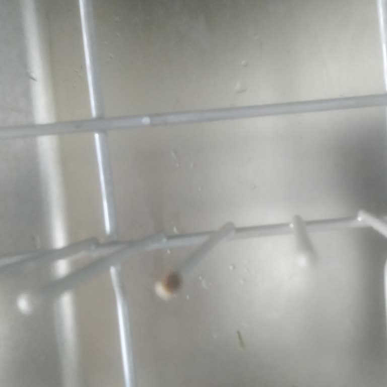 Bosch Bulaşık Makinesi Paslanma