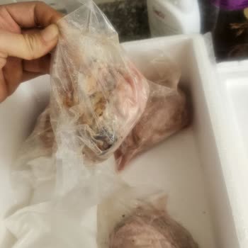 Hasanusta1947ten Ürünün Bozulmuş Halde Gelmesi