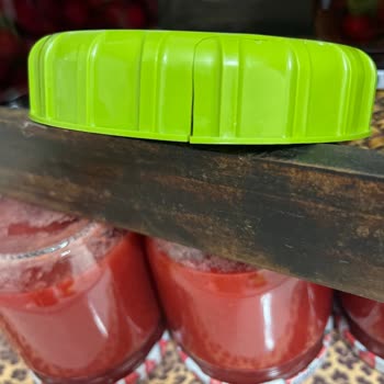 Paşabahçe Harçlar Yeşil Kapak Sorunu