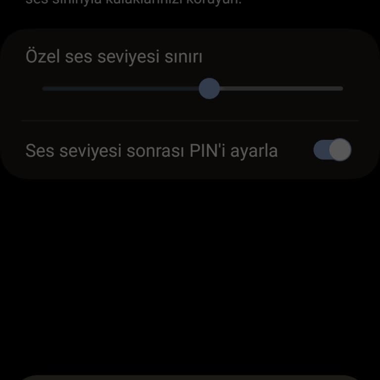 Samsung Medya Sesi Sınırı Pin