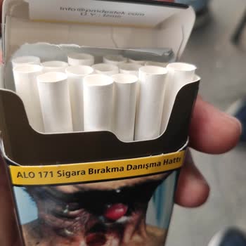 Kısa Parliament Night Blue