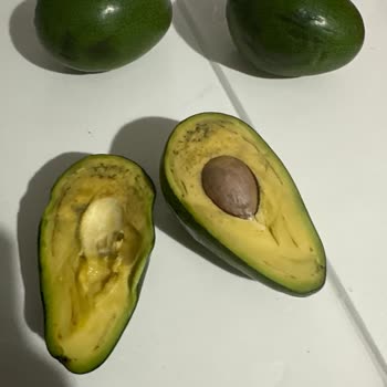 Yemek Sepeti Mahalle Öğütler Gıda Kötü Ürün İade Kabul Etmiyor