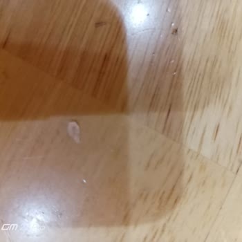 Mola Fırın Ürünün İçinde Olmaması Gereken Plastikler Cam Kırıkları Gibi Malzemeler Çıktı!