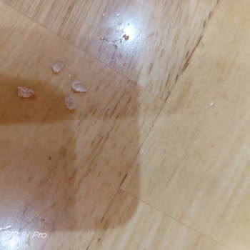 Mola Fırın Ürünün İçinde Olmaması Gereken Plastikler Cam Kırıkları Gibi Malzemeler Çıktı!