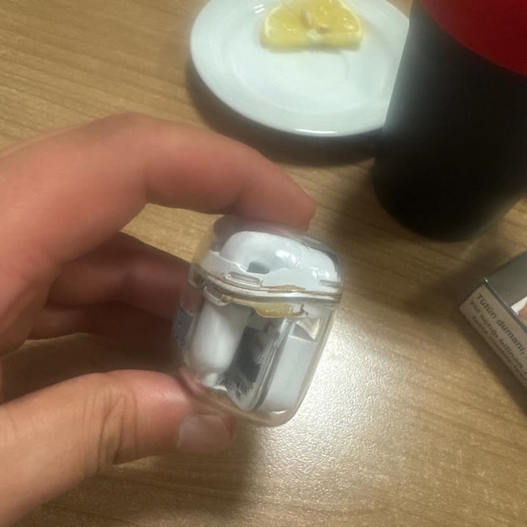 JBL Şeffaf Kulaklık Şarj Kutusu Temizleme