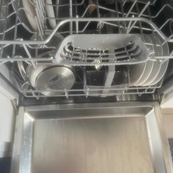 Bosch Dishwasher Leaves Dishes Soaking and Doesn't Clean Properly Despite Service