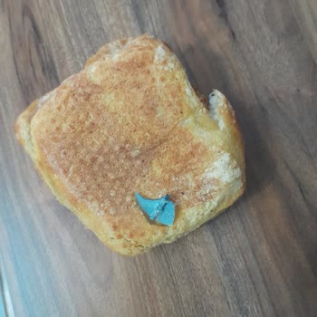 NetizGross Netiz Gross Ekmekte Çıkan Kesici Parça