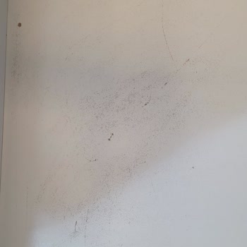 Selsil Pak Temizleyici Dolap Rengini Çıkarttı