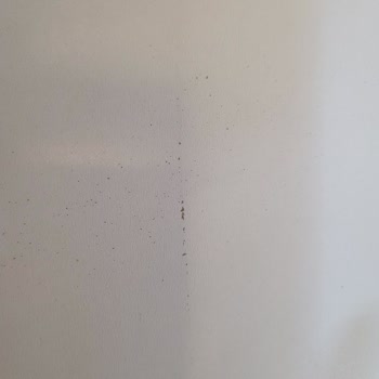 Selsil Pak Temizleyici Dolap Rengini Çıkarttı