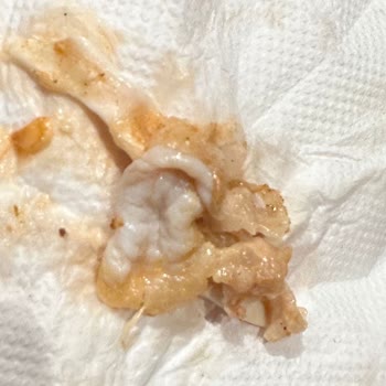 İzmir Buca Dodo Pizza'da Yaşanan Olumsuz Deneyimler