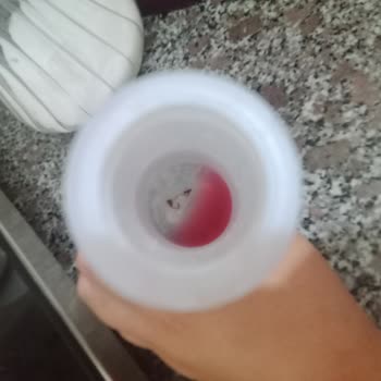 Dydo Link İçinde Böcek Gibi Kurt Gibi Bir Şey Var