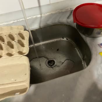 BİM Bili Bili Yumurta