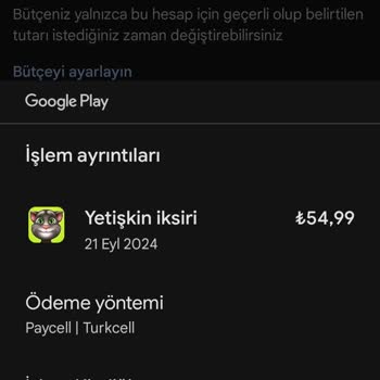 Outfit7 Yeğenim Haberim Olmadan Tom Oyunundan Yetişkin İksiri Almış