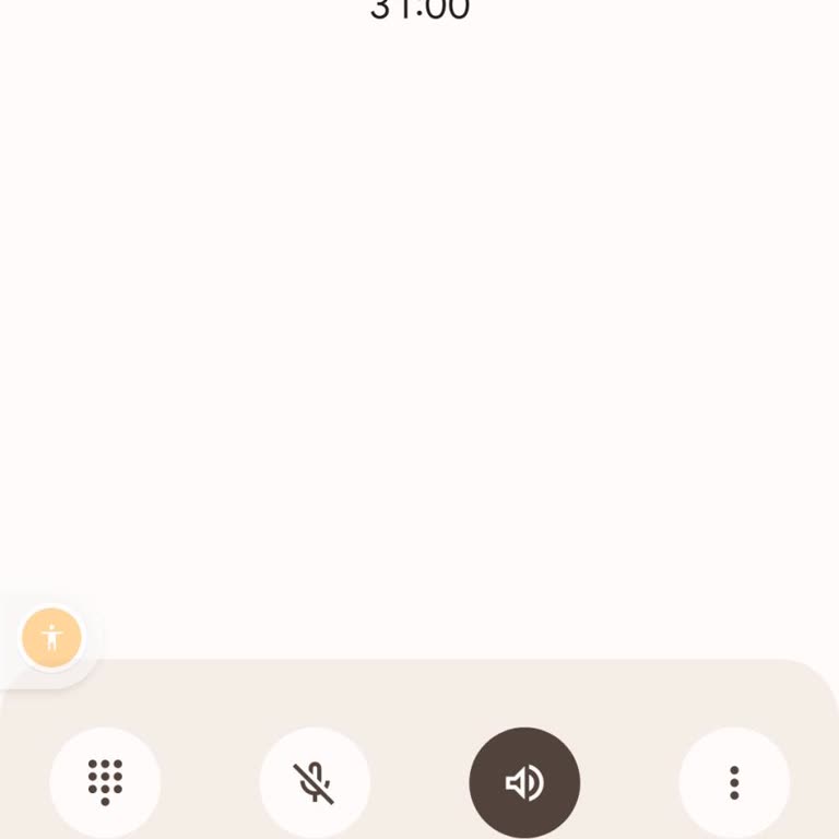 Netspeed Müşteri Hizmetleri Bağlanamama Sorunu