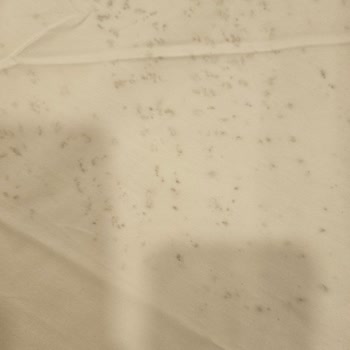 The Green Park Hotels And Resorts Taksim Şubesine Asla Bir Daha Gelmem!