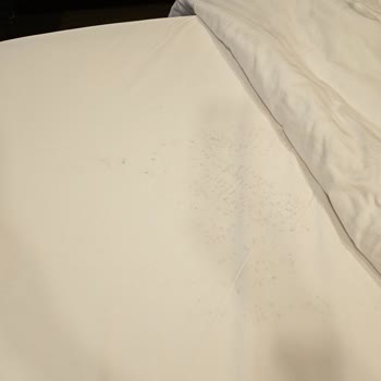 The Green Park Hotels And Resorts Taksim Şubesine Asla Bir Daha Gelmem!