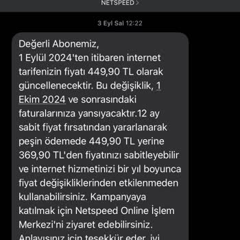 Netspeed İnternet Hizmetini Sağlayamıyor