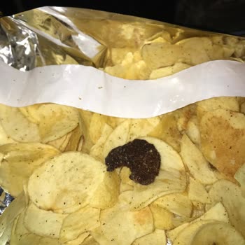 Cipso Önemli Görmeniz Gerekiyor Ne Aldığımıza Bir Bakın