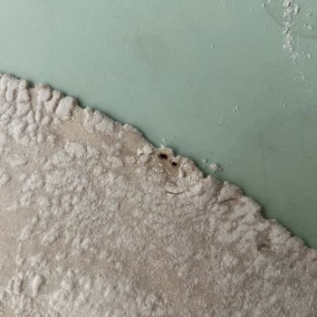 Güreller Market Edinilen Ürünün İçerisinde Kurt Ve Böcek Çıkması