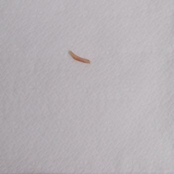 Maydonoz Döner Ürün Kalitesi Çok Çok Kötü