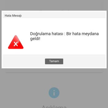 Gelir İdaresi Başkanlığı E Arşiv Doğrulama Hatası