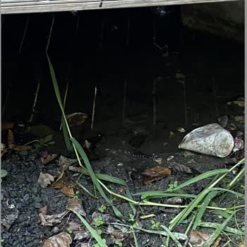 Meca Deluxe Otel Sapanca Jolly Tour Rezervasyon Faciası Yanıltıcı Otel Bilgisi