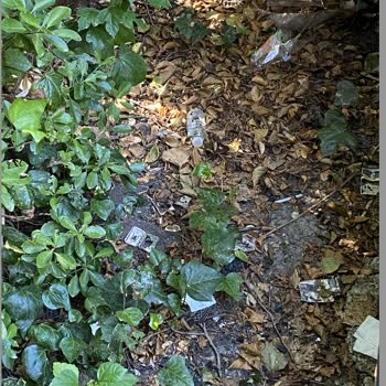 Meca Deluxe Otel Sapanca Jolly Tour Rezervasyon Faciası Yanıltıcı Otel Bilgisi