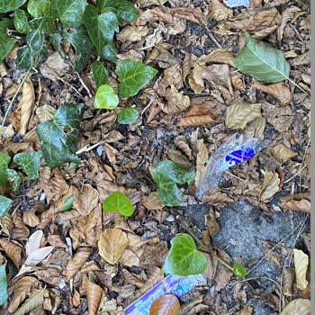 Meca Deluxe Otel Sapanca Jolly Tour Rezervasyon Faciası Yanıltıcı Otel Bilgisi