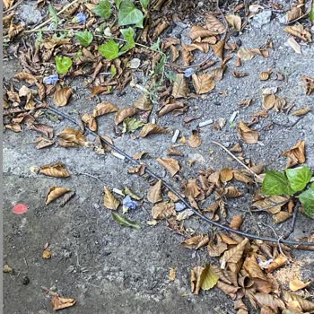 Meca Deluxe Otel Sapanca Jolly Tour Rezervasyon Faciası Yanıltıcı Otel Bilgisi