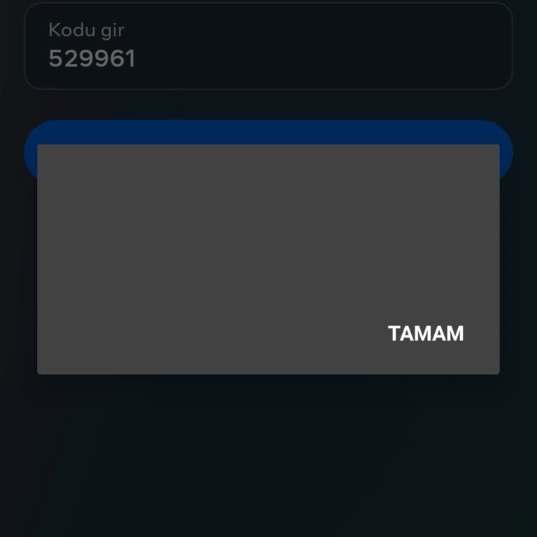 Instagram'a Giriş Yapamıyorum