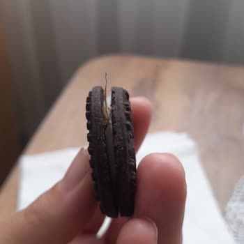 Torku Premio Üründe Yabancı Cisim...