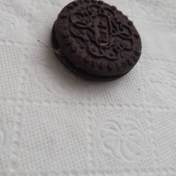 Torku Premio Üründe Yabancı Cisim...