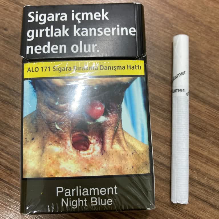 Parliament Filtre Baskı Hatası