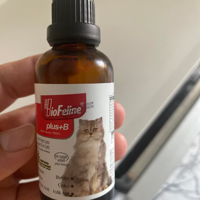BioFeline Bio Feline Bozuk