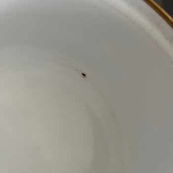 English Home Müşteri Hizmetlerine Ulaşamıyorum