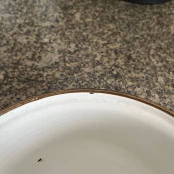 English Home Müşteri Hizmetlerine Ulaşamıyorum