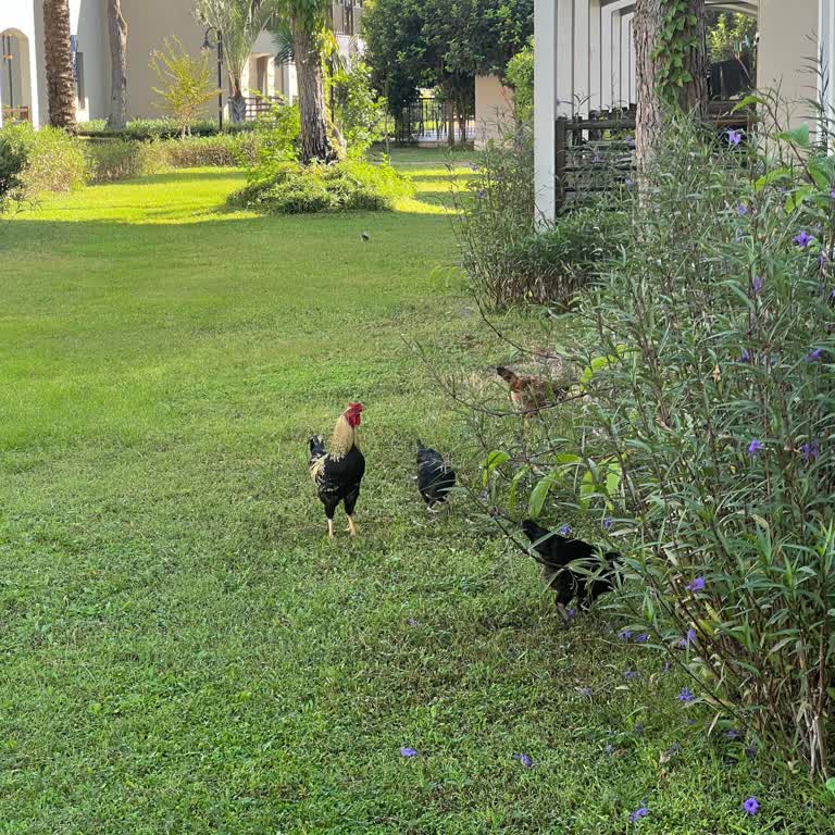 Şah inn Paradise Müşteri Aquapark Kullanım Şikayeti