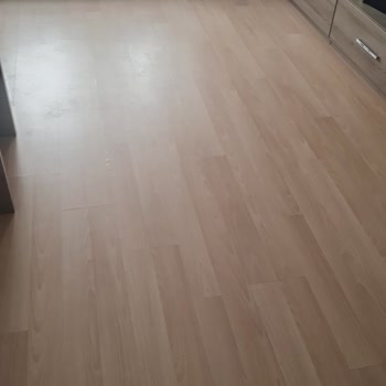 PHILIPS Ev Aletleri Philips 8000 Dikey Süpürge Dayanıksızlığı