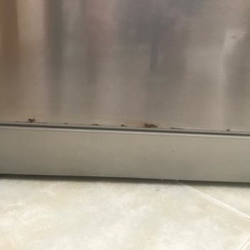 Bosch Bulaşık Makinesi Inox Olmasına Rağmen PASLANDI, FİRMA Çözmedi