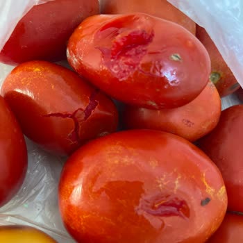 Migros Sanal'da Eksik Ve Çürük Ürün Sorunu